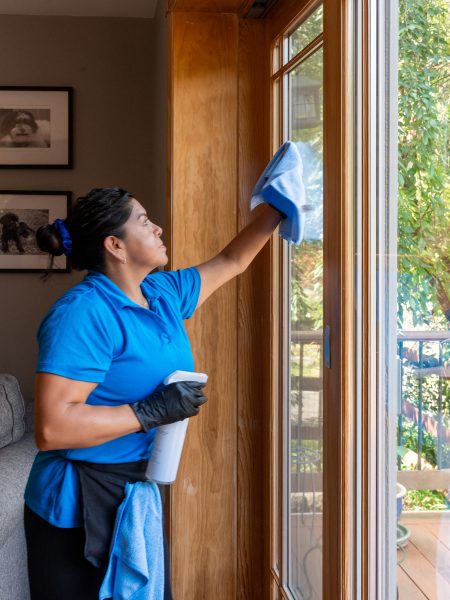 House Cleaning Services