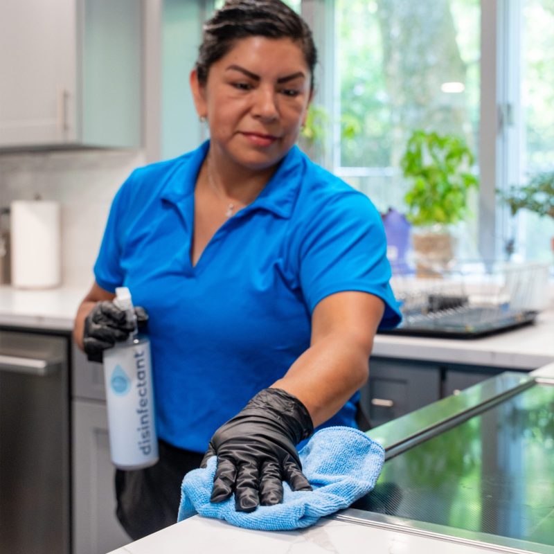 Maid Brigade House Cleaning