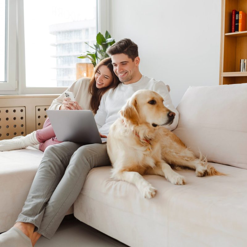 Green Cleaning Services