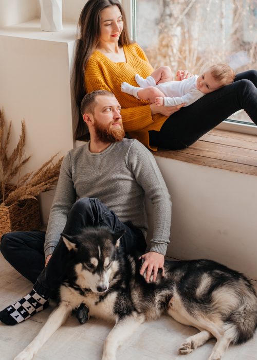 Safe Disinfection Services Safe Disinfection Services