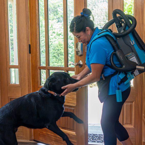 Specialty Cleaning Services