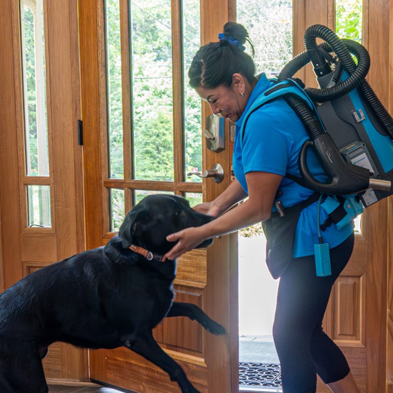 Specialty Cleaning Services