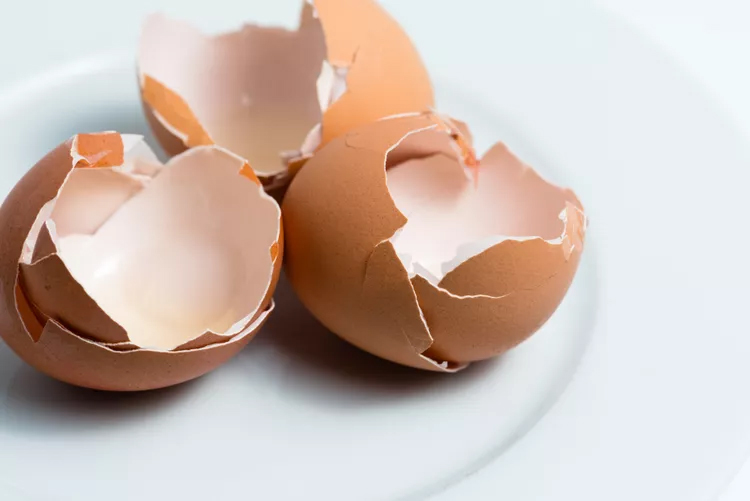 6 Ways to Reuse Leftover Eggshells
