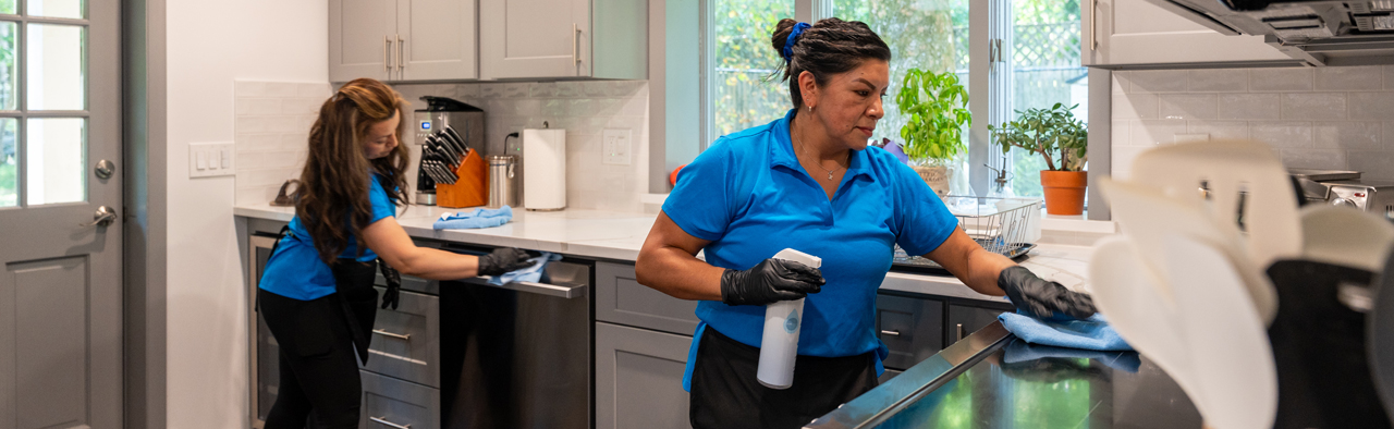 Maid Brigade Westchester Maid Brigade Westchester