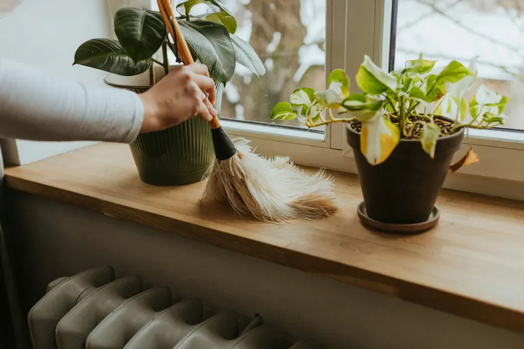 8 Easy Tricks to Get Rid of Dust