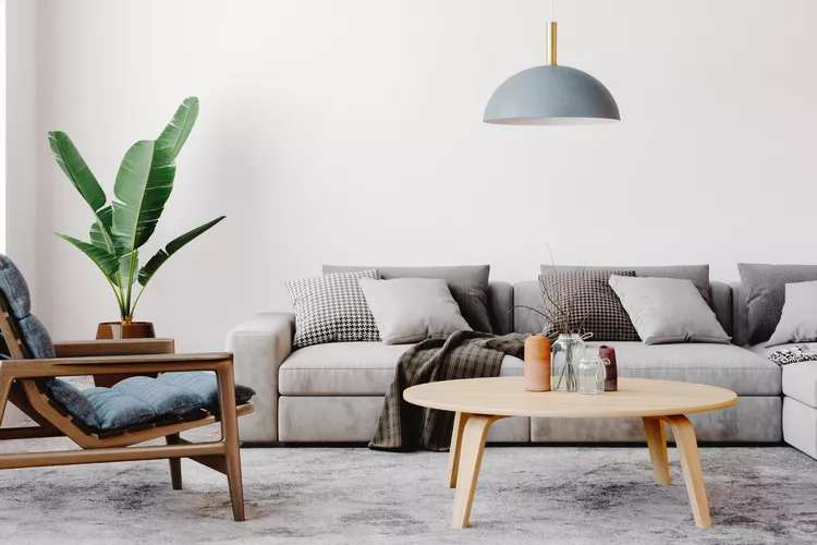 Reasons Your Home Smells Musty