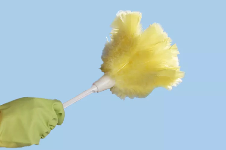 Speed Up Your Cleaning Routine