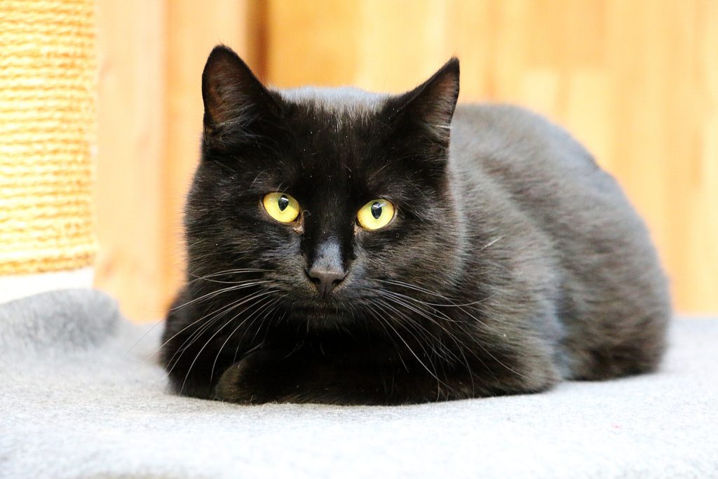 Tuesday, February 10, 2026