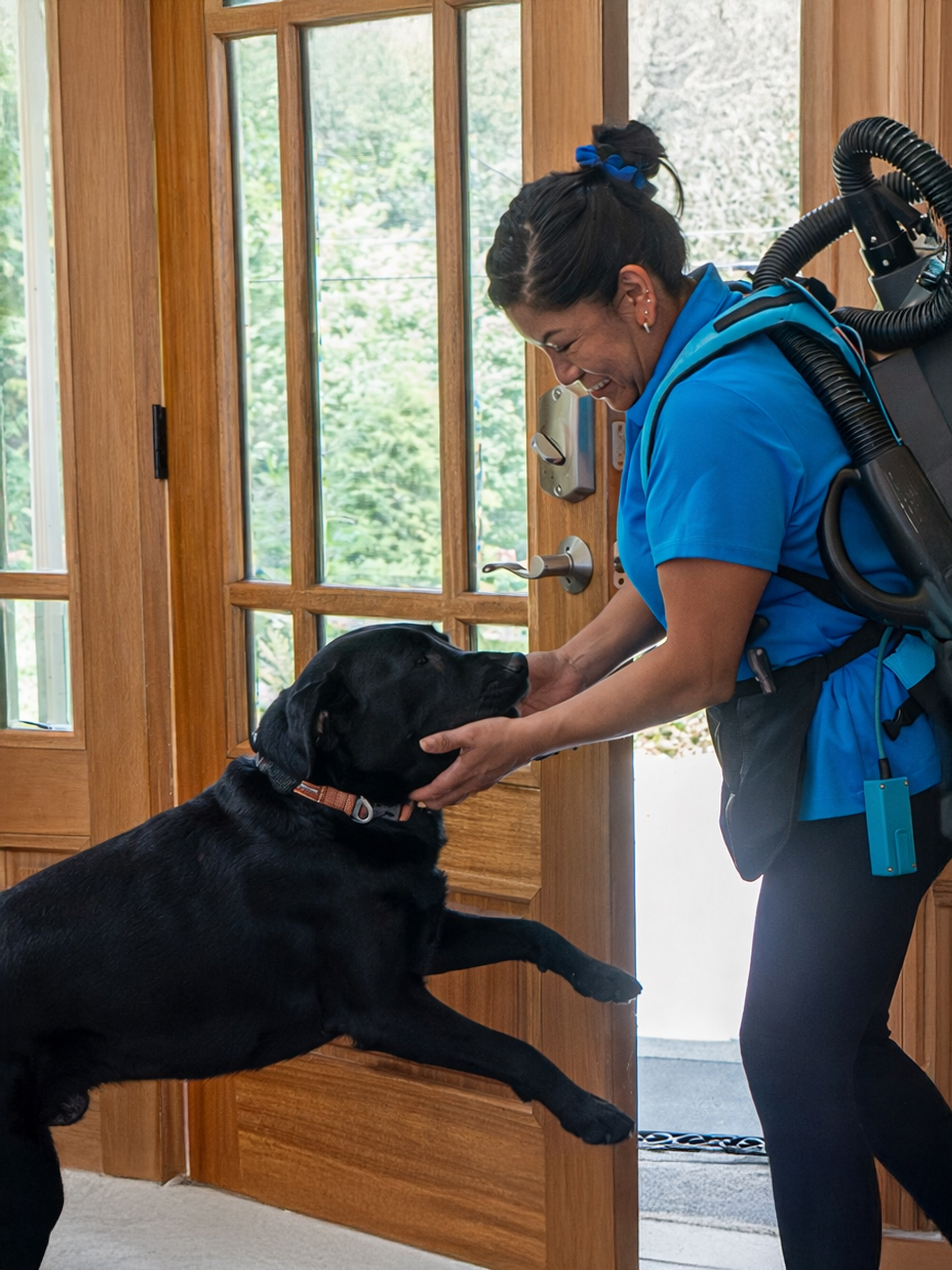 Non-Toxic Green Cleaning Services Non-Toxic Green Cleaning Services